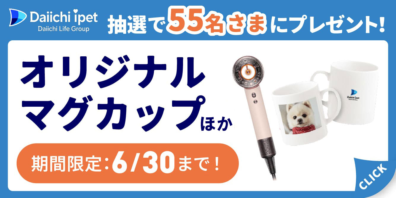 【第一アイペットのペット保険】抽選で豪華景品が当たる
